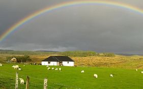 House On The Falls